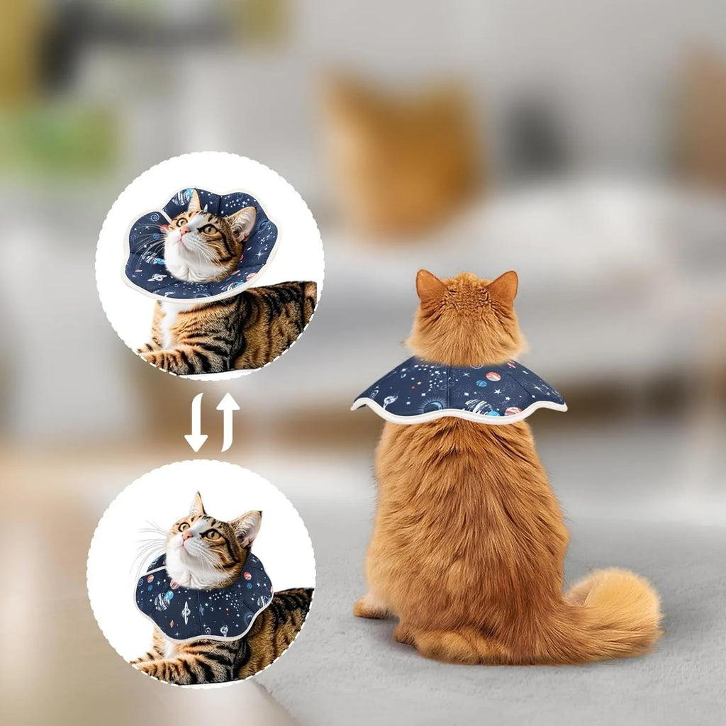 Soft cat recovery cone collar in Planet colour on a small cat, adjustable strap, breathable fabric design