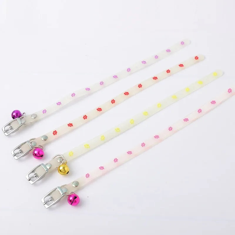 Cat wearing luminous collar with silicone chain and metal bell in paw print style