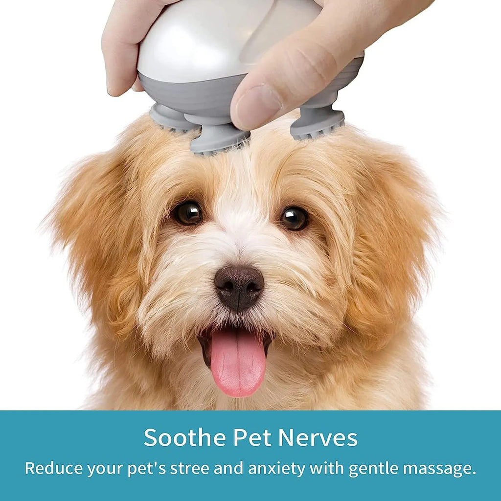 Electric handheld pet massager with four rotating heads in blue, green, red, or white colour