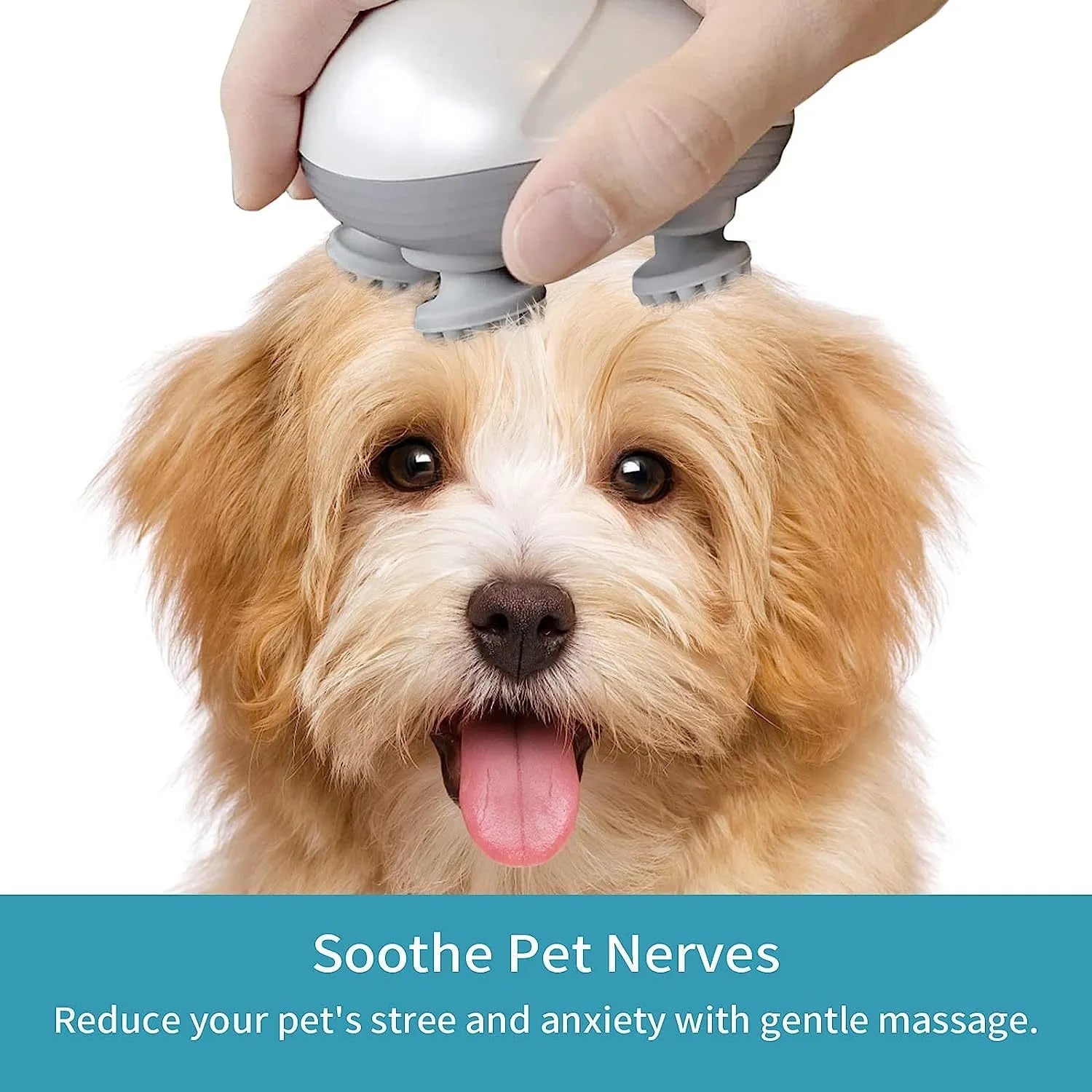 Electric handheld pet massager with four rotating heads in blue, green, red, or white colour
