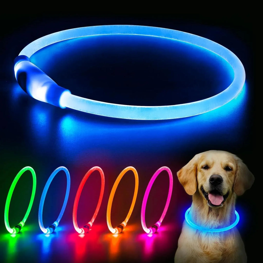 Blue USB rechargeable LED dog collar glowing with 360-degree visibility for nighttime pet safety