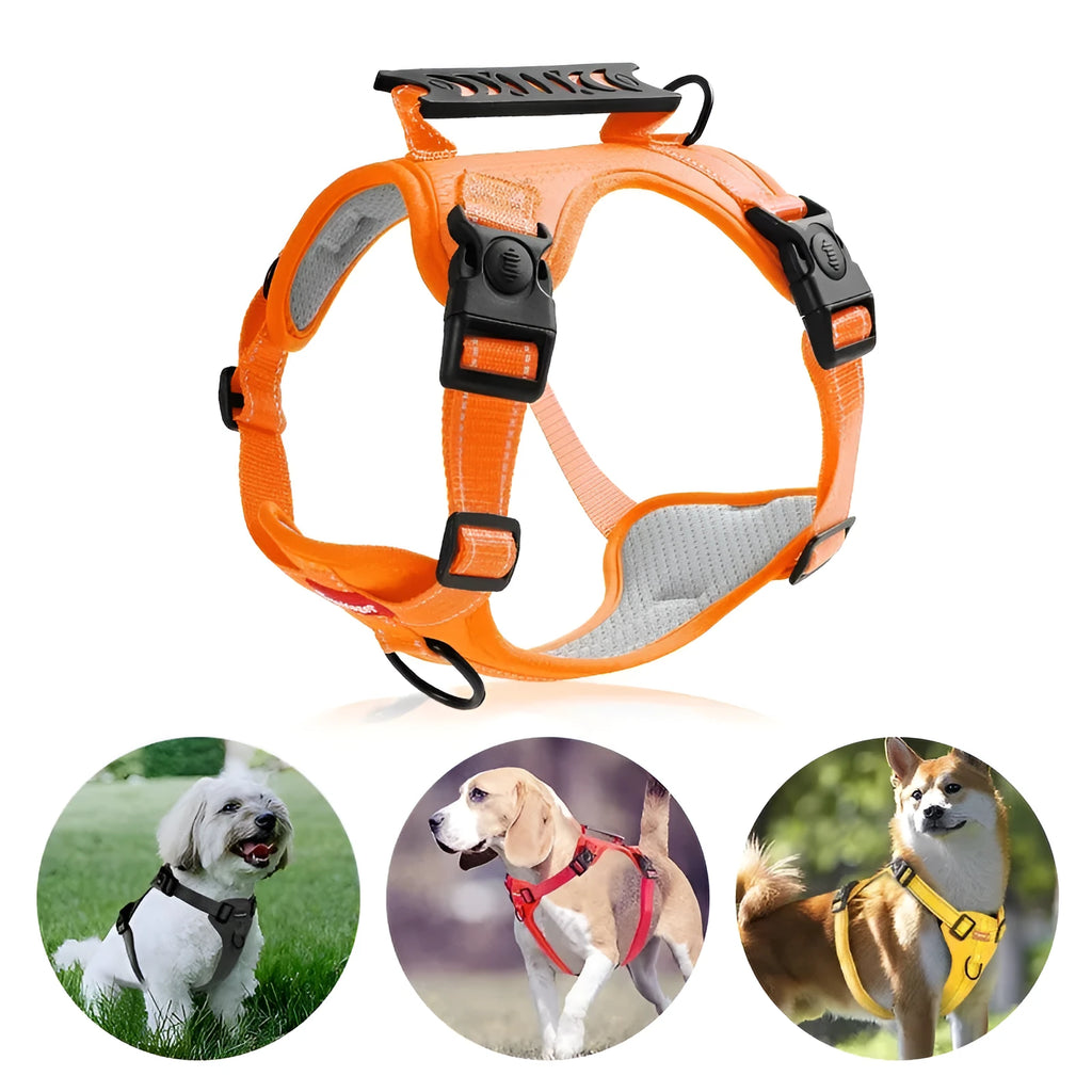 Dog chest harness and lead set in multiple colours including black, yellow, red, orange, pink, and lake blue