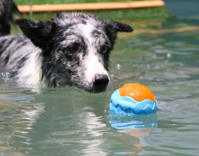 Blue dog toy ball with glow and squeak features, 9 cm TPR floating chew toy for dogs