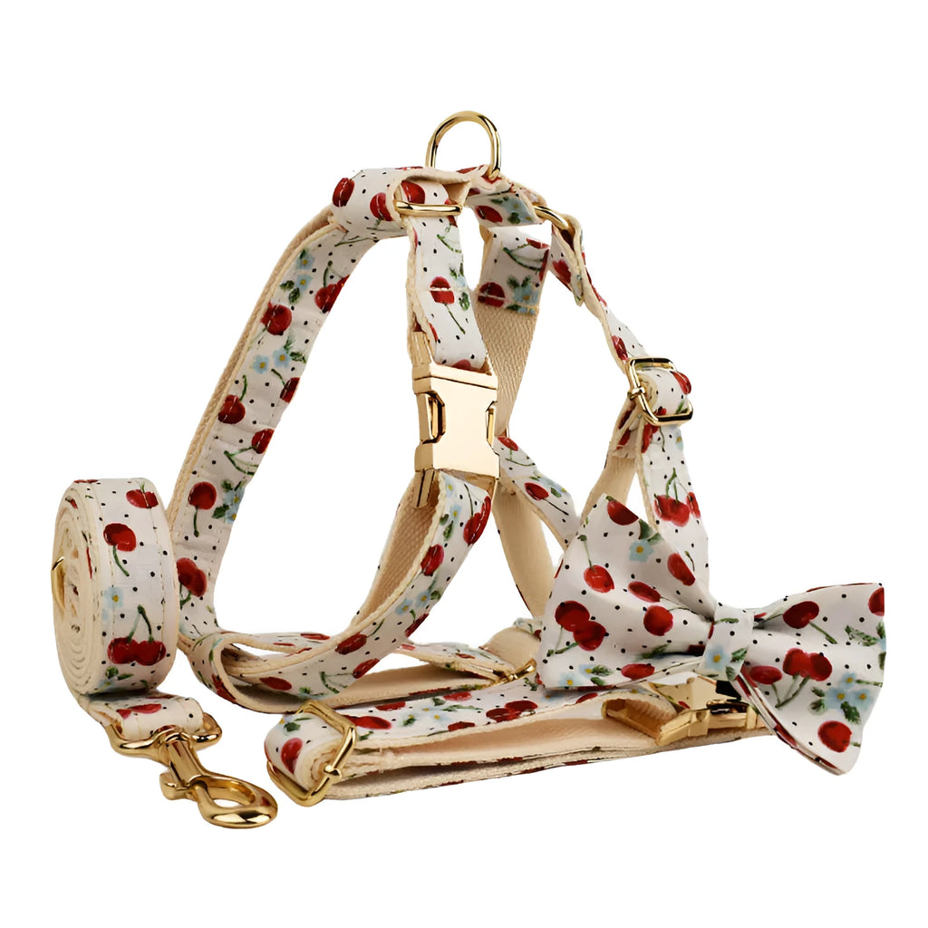 Red cherry printed dog collar set with light gold buckle and bow strap on cloth leash