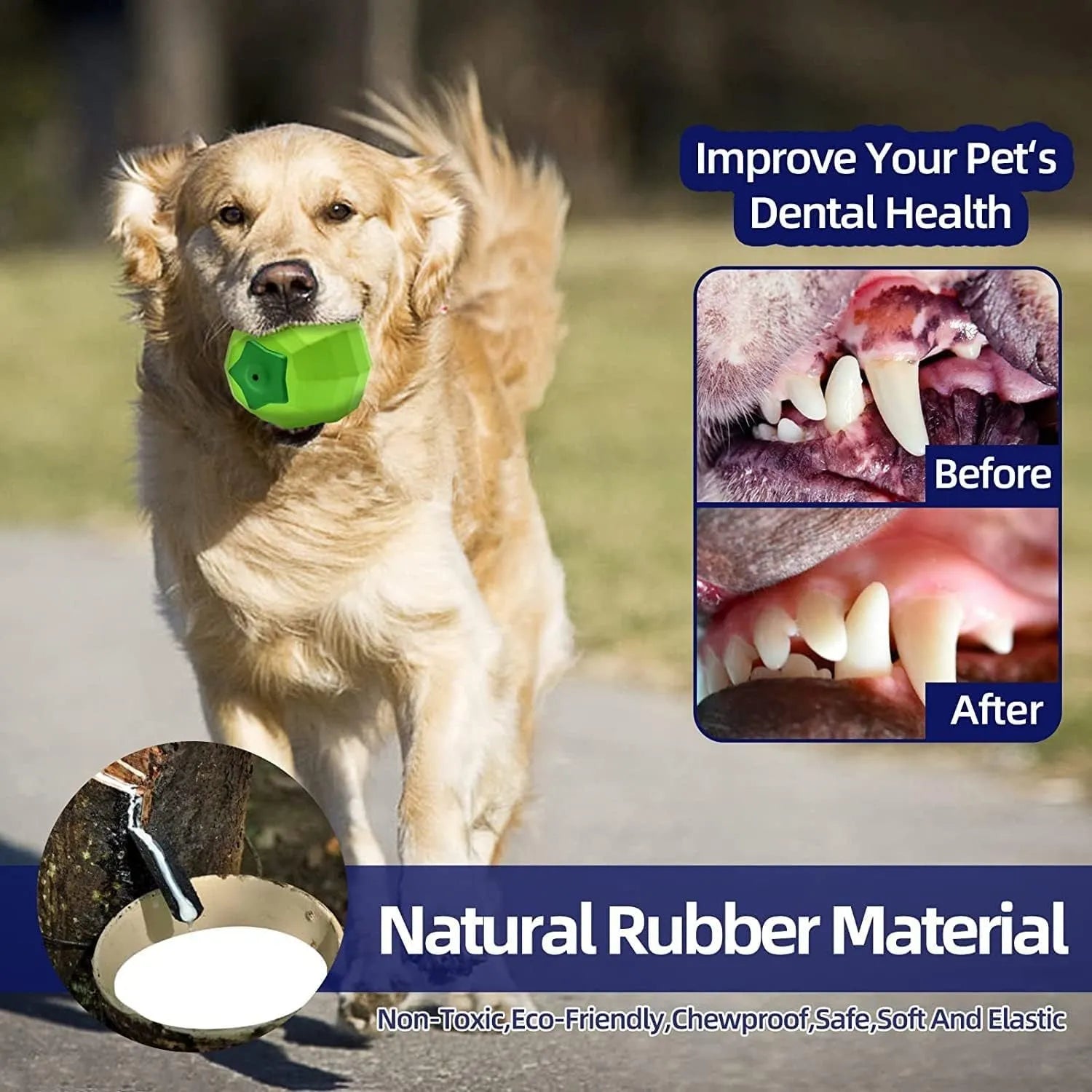 Green natural rubber squeaky chew ball dog toy for medium and large breeds