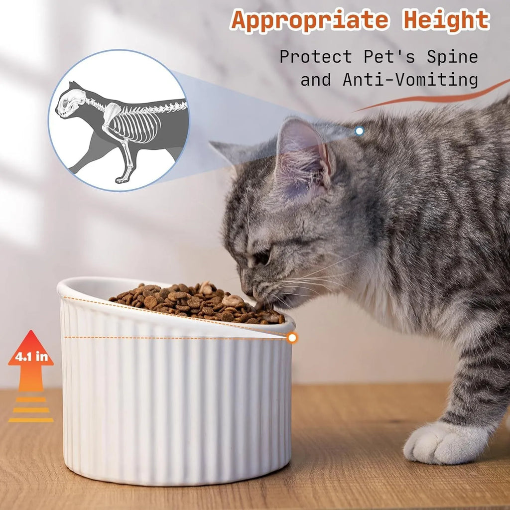 Ceramic raised cat bowl with tilted design in green colour on wooden surface