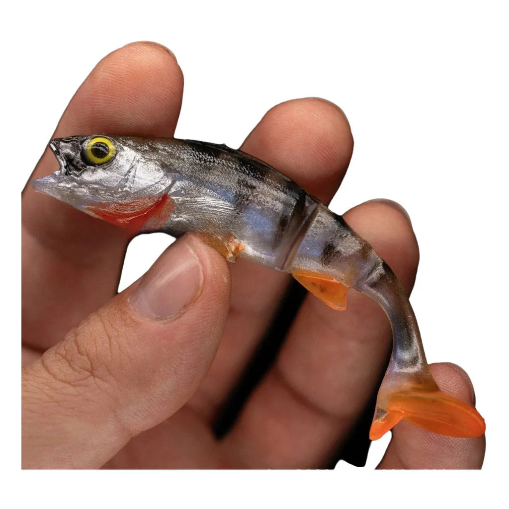 Fish T Tail soft plastic fishing lure with catfish scissors tail in natural fish colour pattern