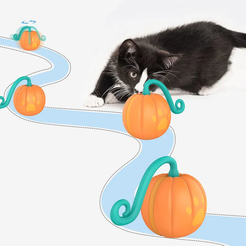 Electric cat toy luminous ball in plastic with watermelon colour cat teasing ball design