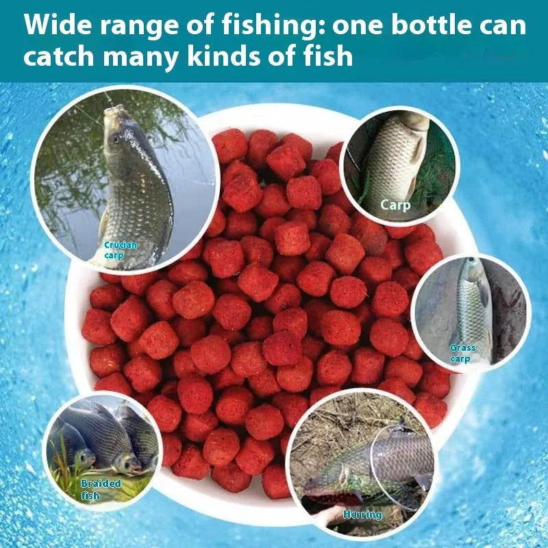 Fresh red fishing bait for crucian carp and grass carp in a bottle