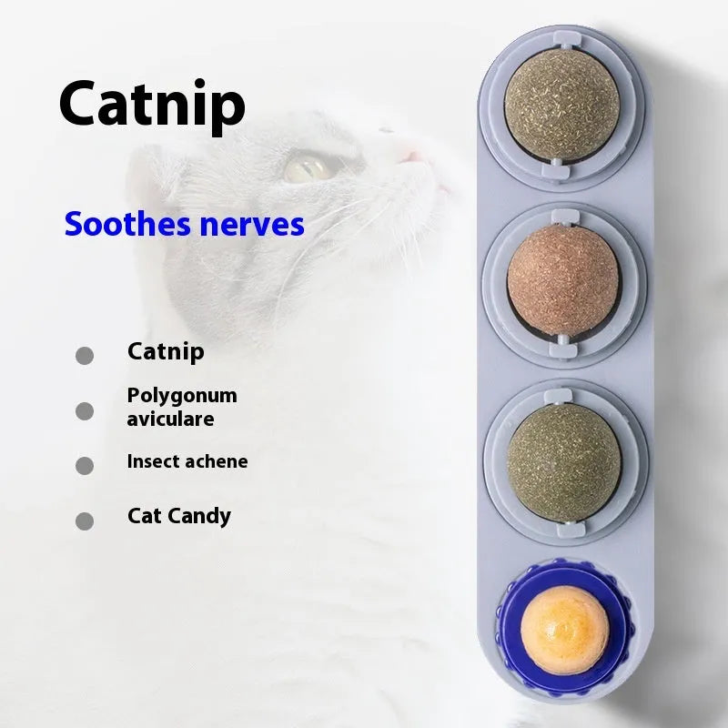 Plastic cat molar toy in blue three-in-one box with raised ridges for chewing