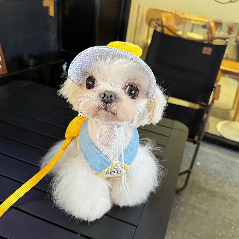 Three-piece dog harness set with leash attachment, rope toy, and matching hat for small to medium pets