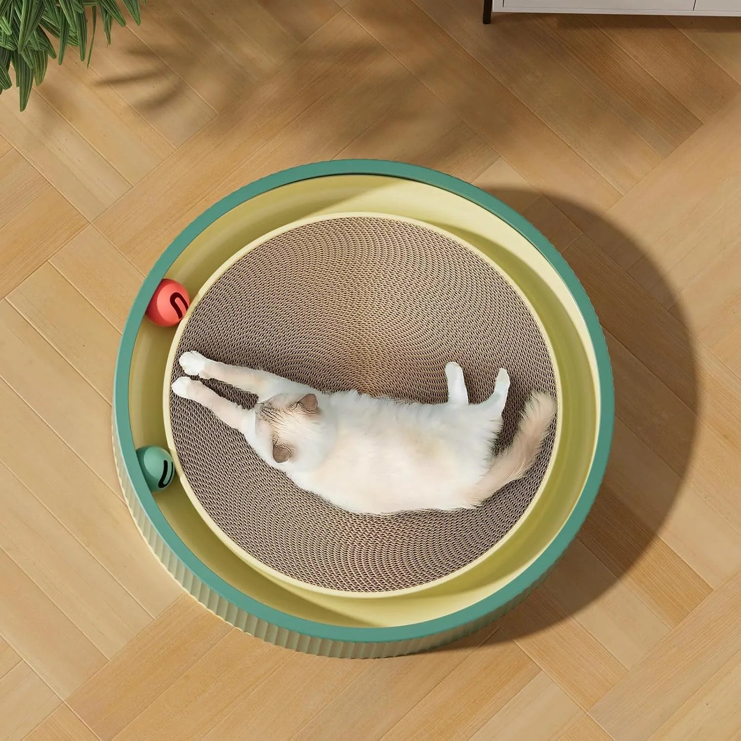 Large circular cat scratching board with ball toys showing green colour and refillable core design