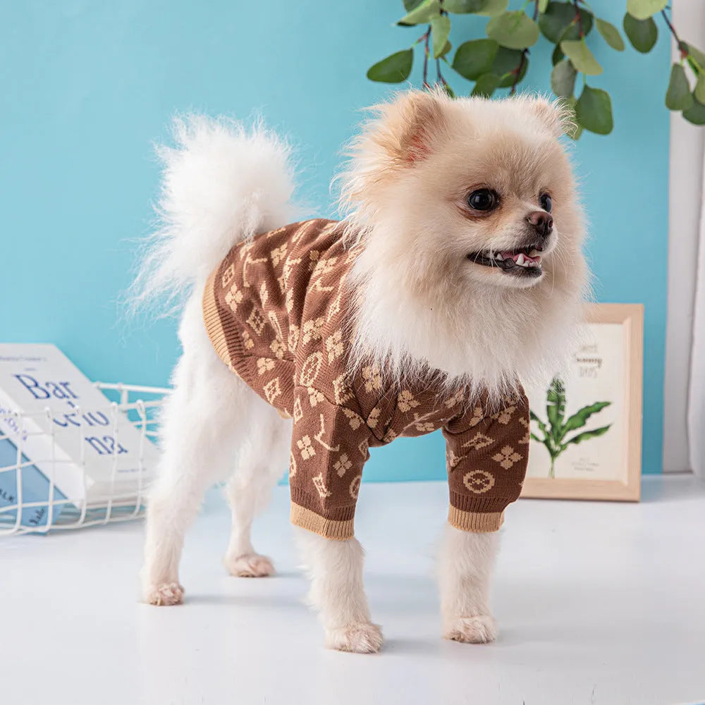 Wool knit dog sweater in winter colours showing thick knit construction and full-body coverage design