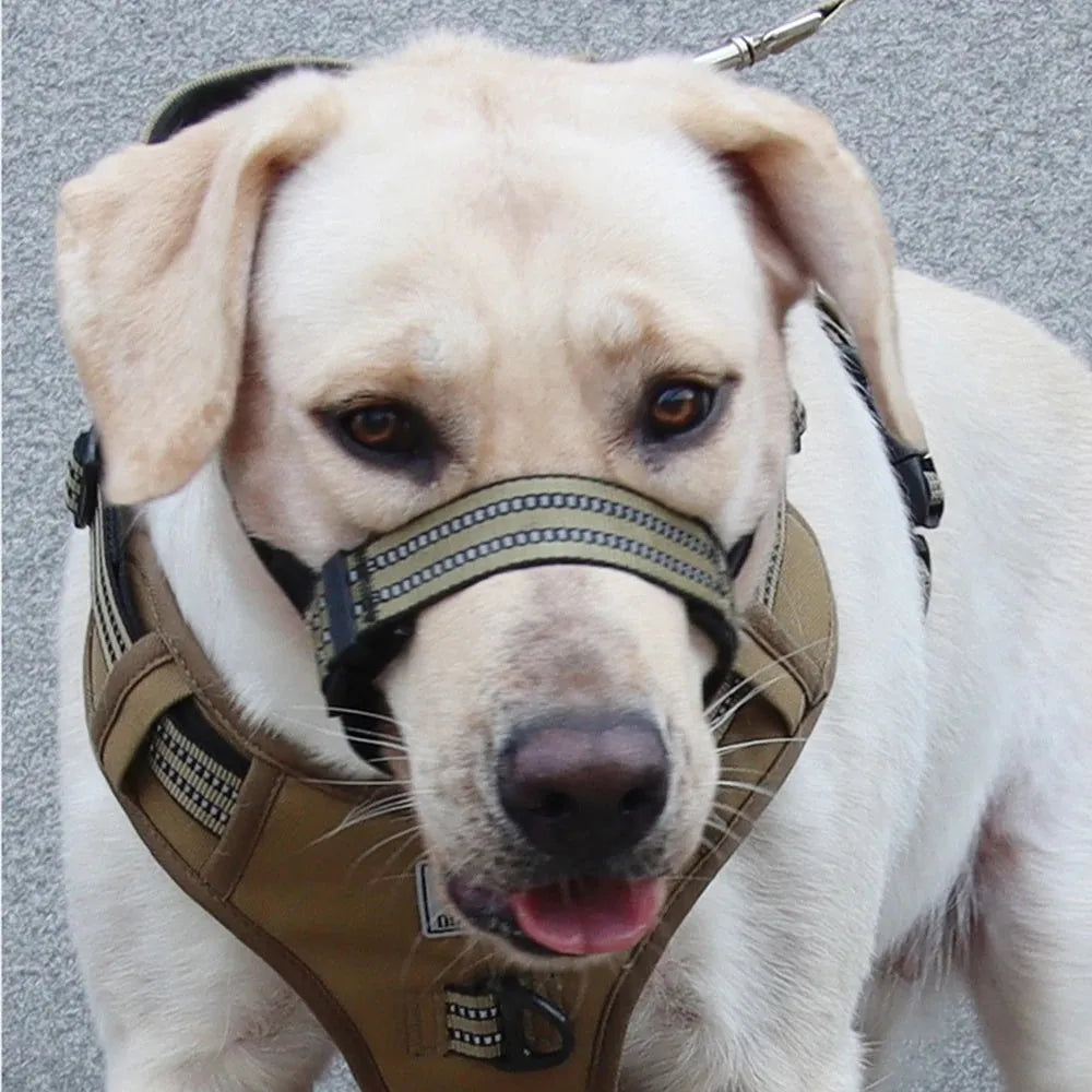 Adjustable reflective anti-biting dog muzzle for medium large dogs in black on a white background