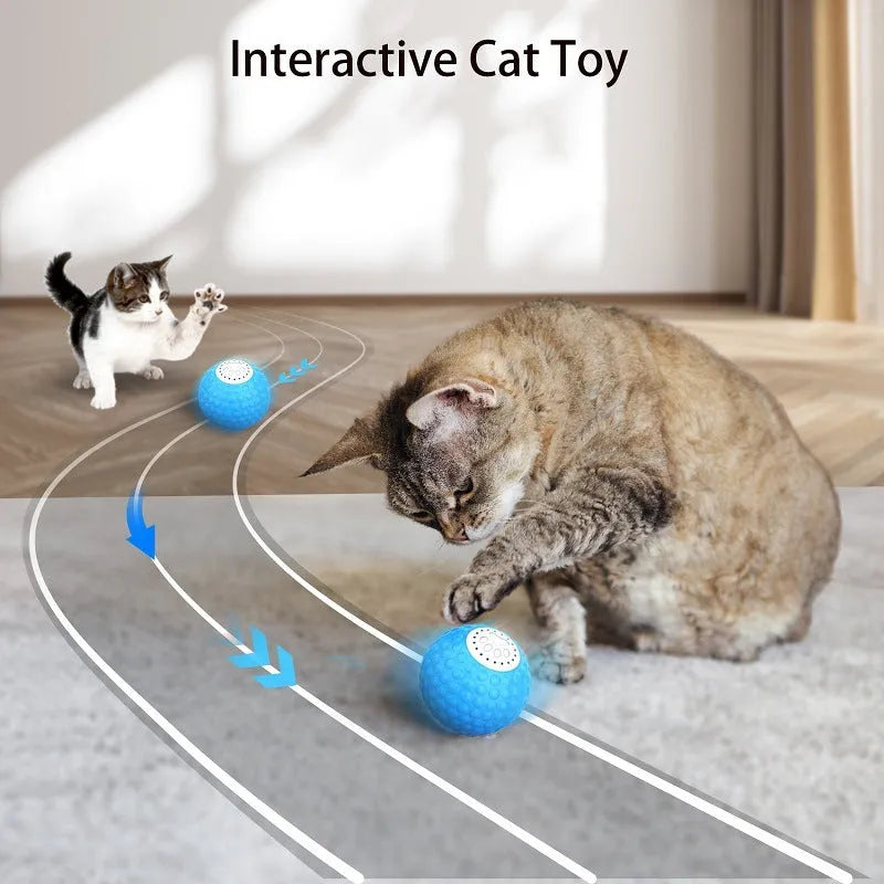 Remote control and coloured smart cat ball toy for interactive pet play