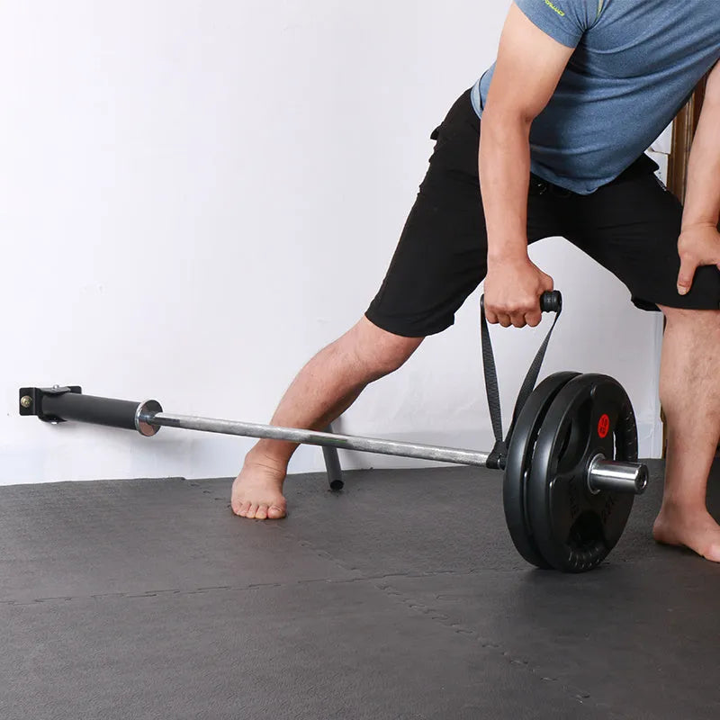 Steel wall barbell rack with 25 tubes for barbell storage in home gym