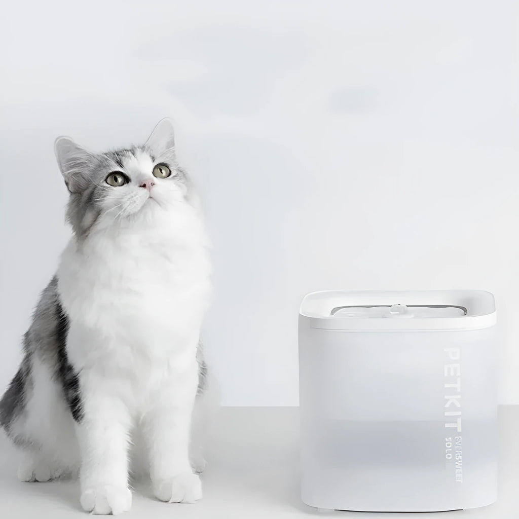 Smart pet water dispenser with wireless loop filter for dogs and cats, Xiaopei Solo SE colour