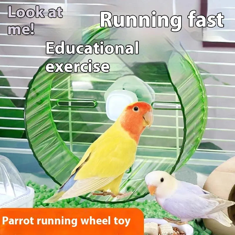 21cm diameter plastic parrot running wheel toy in transparent colour option