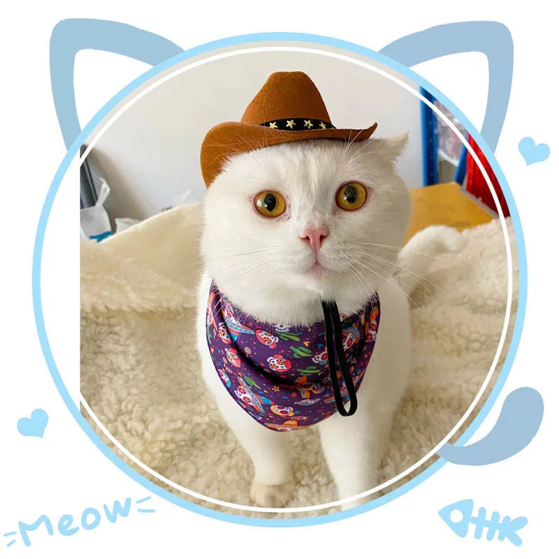 Cat wearing a black star cowboy hat made of soft non-woven fabric, standing outdoors