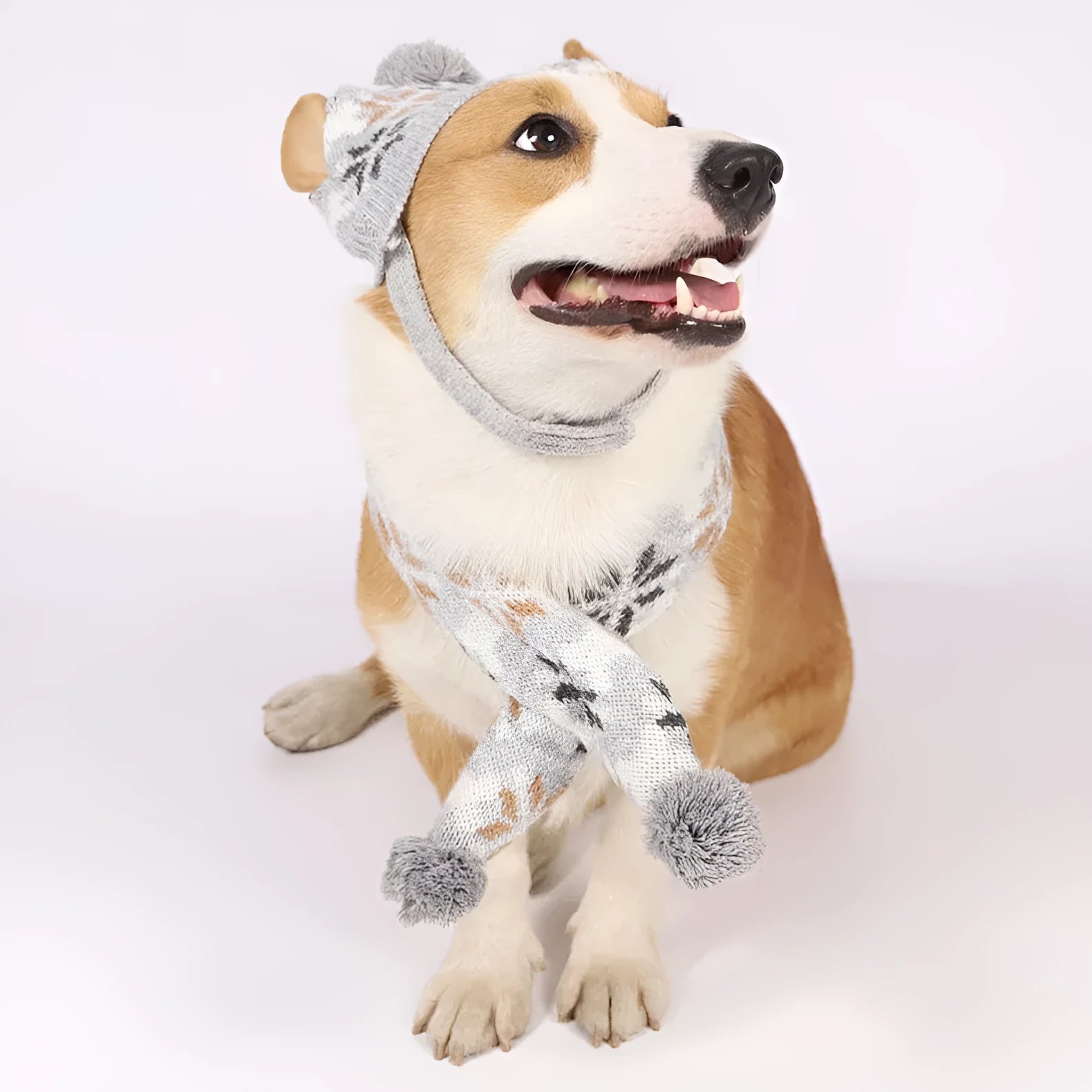 Japanese-style retro jacquard acrylic pet sweater and scarf hat set in gray and pink for small dogs and cats