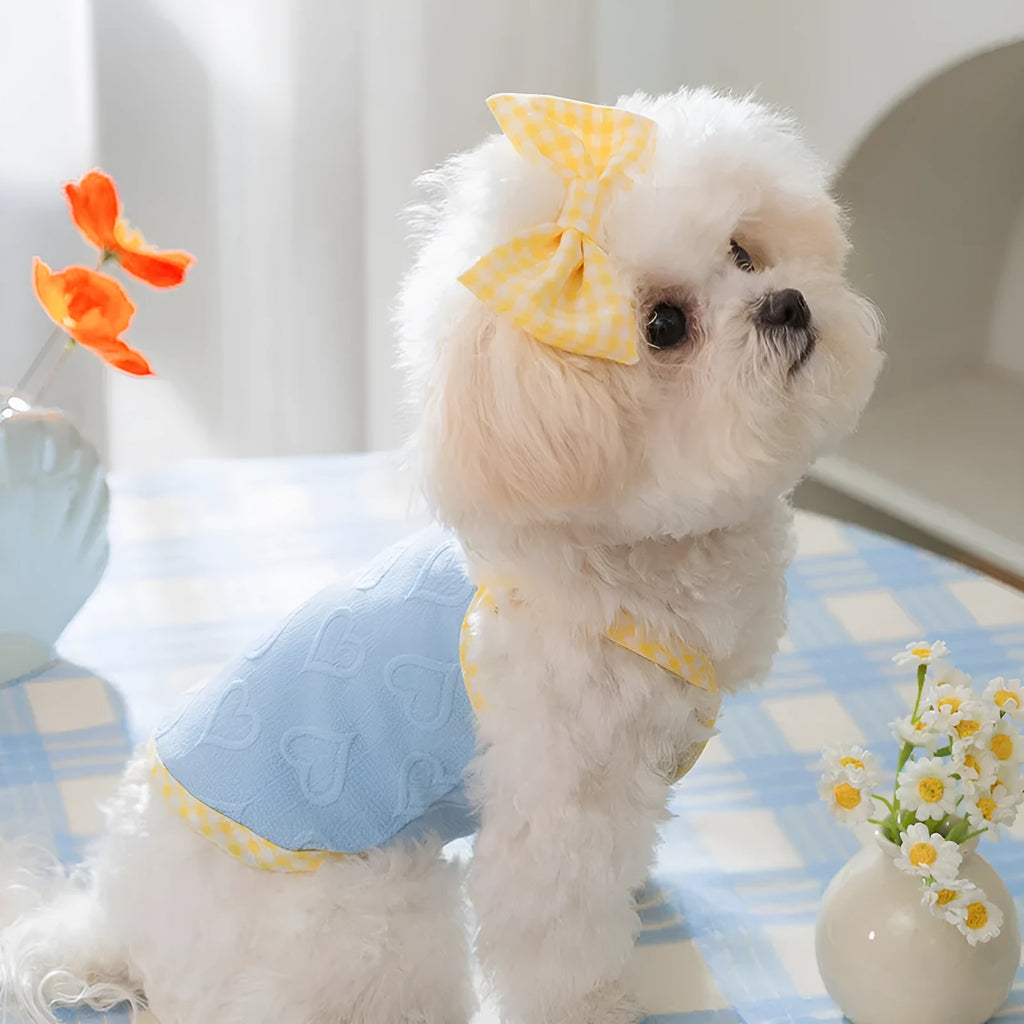 Small dog wearing heart texture vest with bow suspenders in blue colour