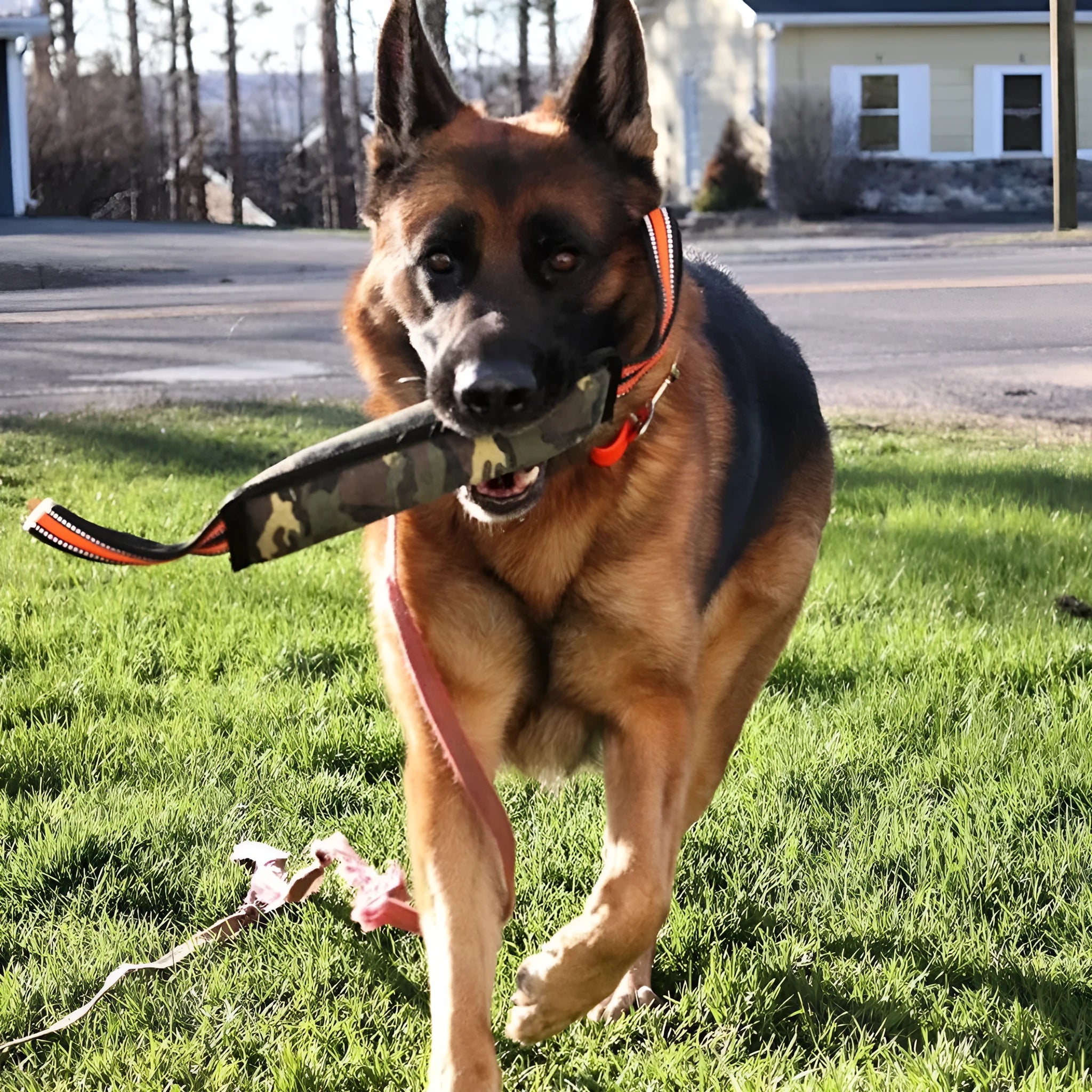 Reflective dog training jute bite stick with yellow edge, 55cm length, on plain background