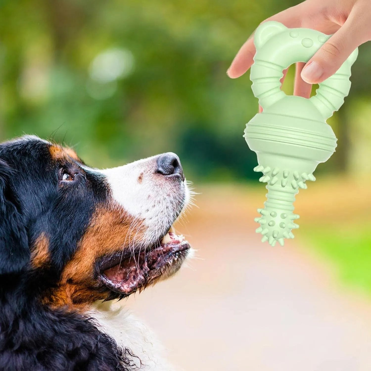 Blue rubber dog chew toy with textured concave-convex surface for teeth cleaning