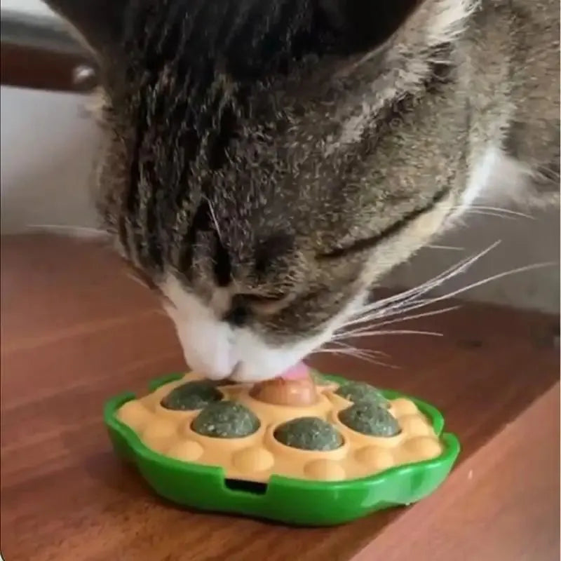 Green catnip ball that sticks on wall, size 10.5x10.5cm, for indoor cats biting and licking