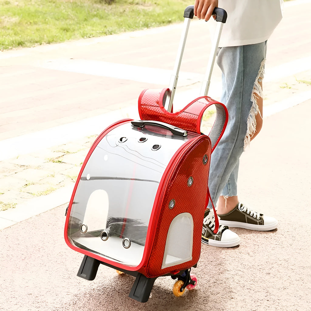 Transparent folding pet trolley bag for small dogs and cats with shoulder straps