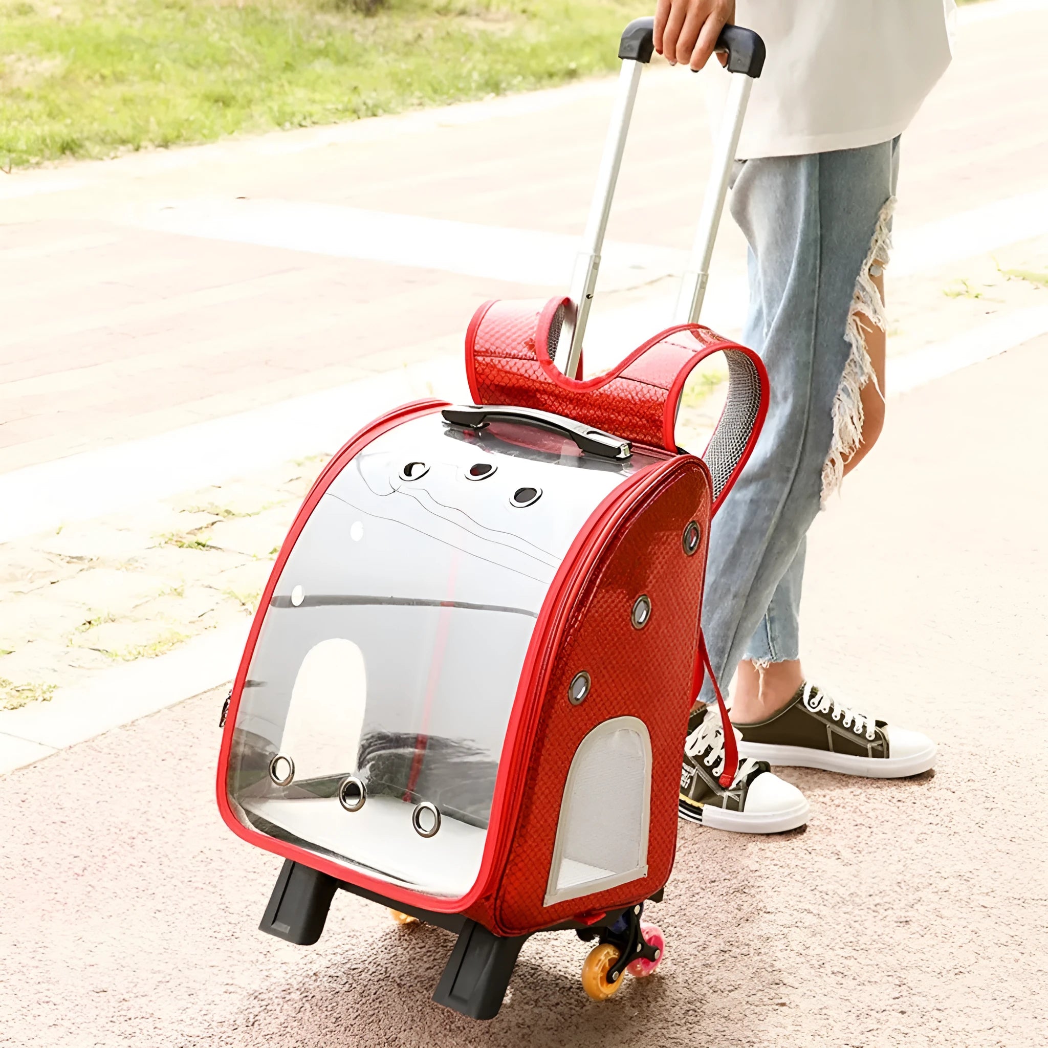 Transparent folding pet trolley bag for small dogs and cats with shoulder straps
