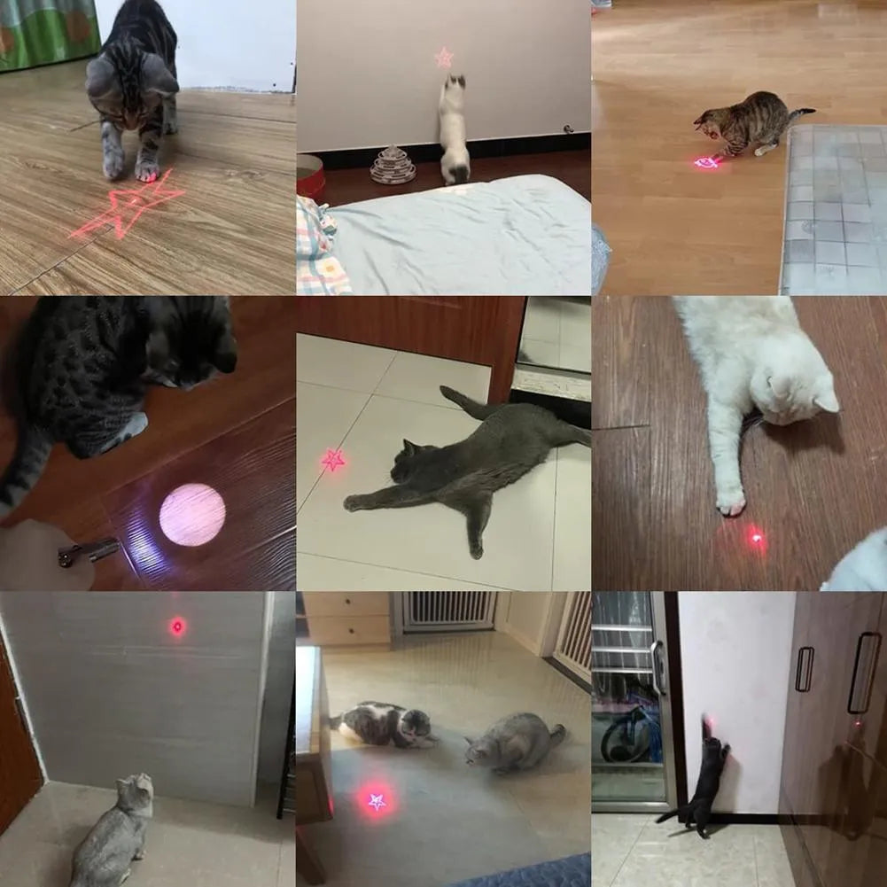 USB rechargeable infrared cat teaser toy with keychain lighting in black or pink colours