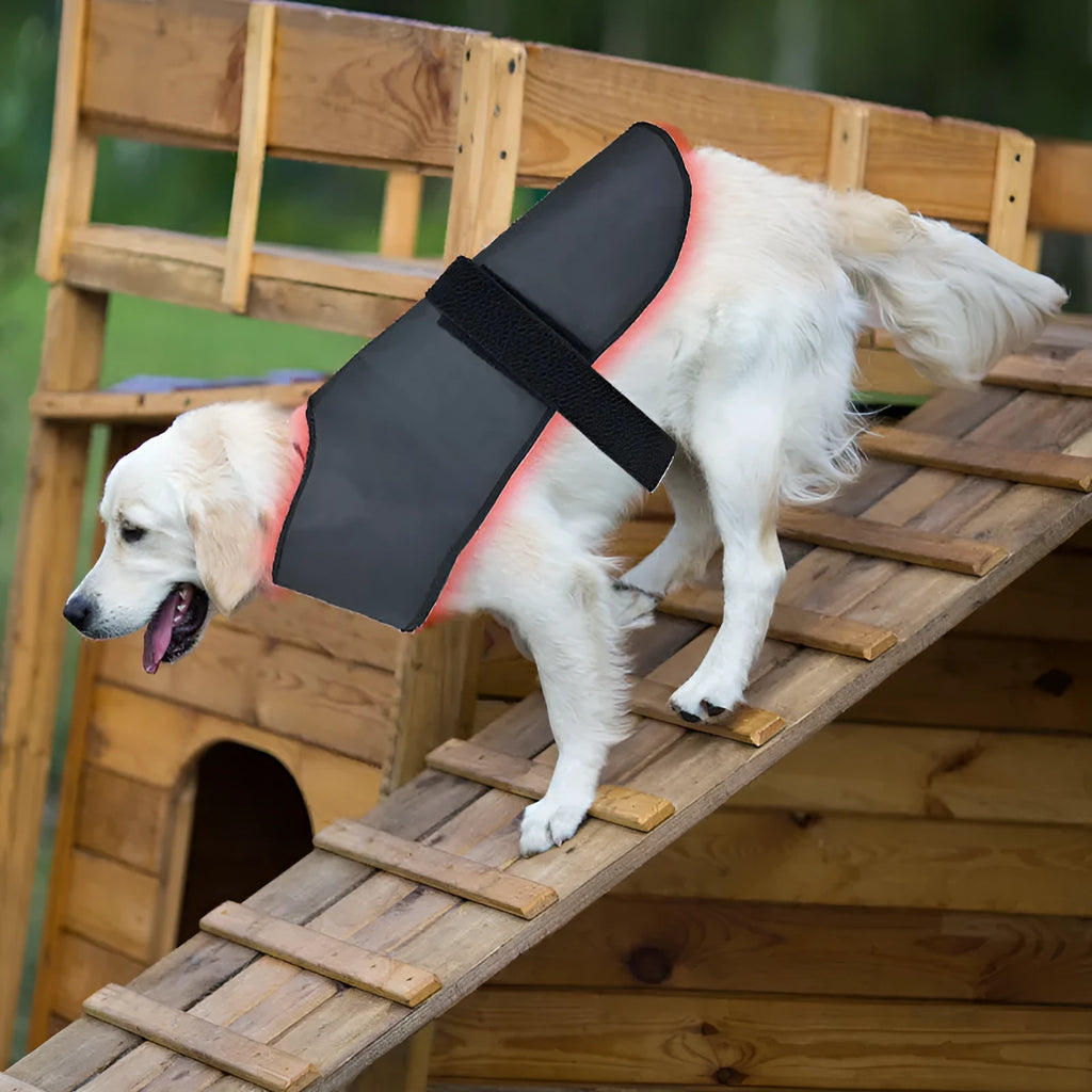 New L size pet red light infrared physiotherapy instrument for dogs and cats, black, wireless portable device with timer