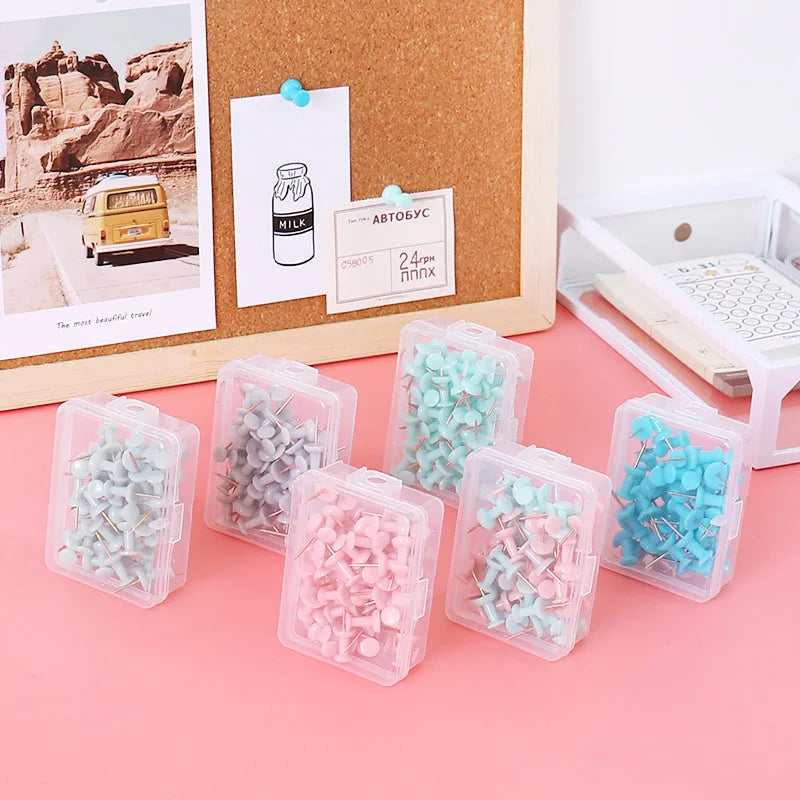 Creative Morandi colour pushpins 50 pieces DIY push pin in green grey pink and mixed colours