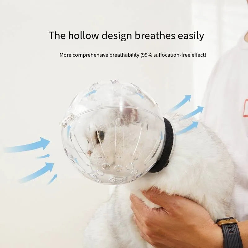 Transparent PP plastic cat muzzle anti-bite space hood with adjustable Velcro, size M L XL for grooming and post-surgery care