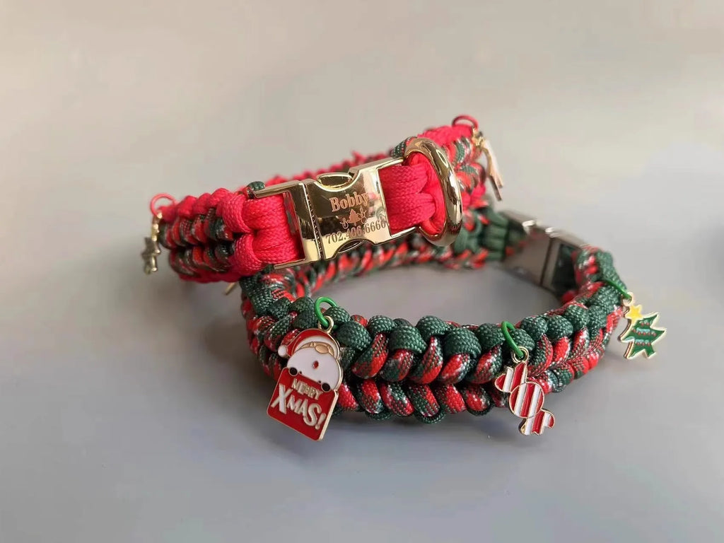 Hand holding rope P chain dog leash with green zinc alloy release buckle on a medium-sized dog
