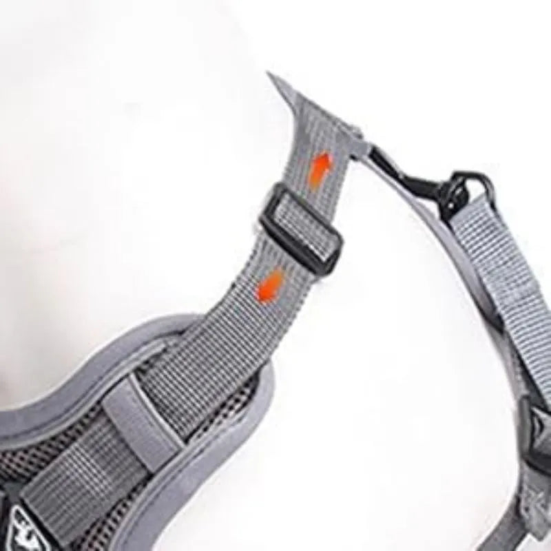 Blue breathable mesh cat chest harness with reflective stitching and leash, on a cat outdoors