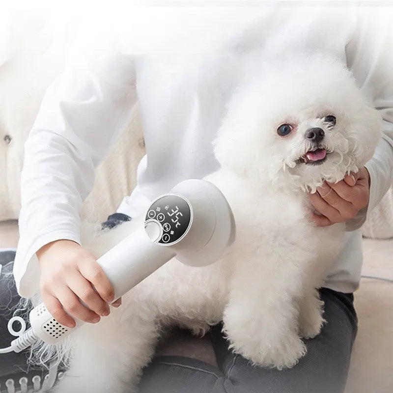 Smart pet hair dryer 300W in Simple White with comb attachment for dog grooming
