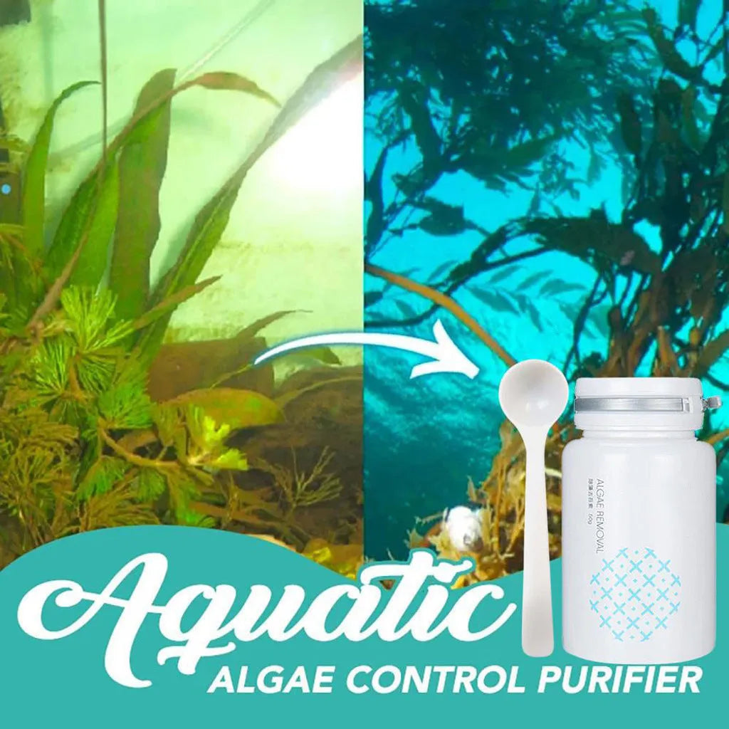 50g algaecide bottle for swimming pool and aquarium algae control treatment