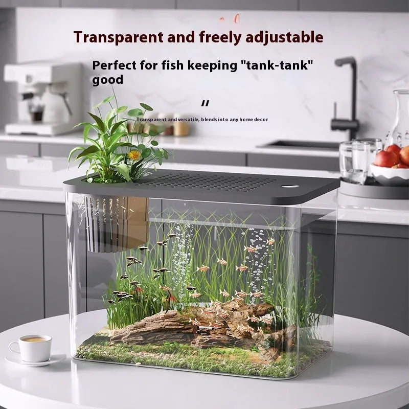 Plastic betta fish tank with cover measuring 32cm long in black and white colour options