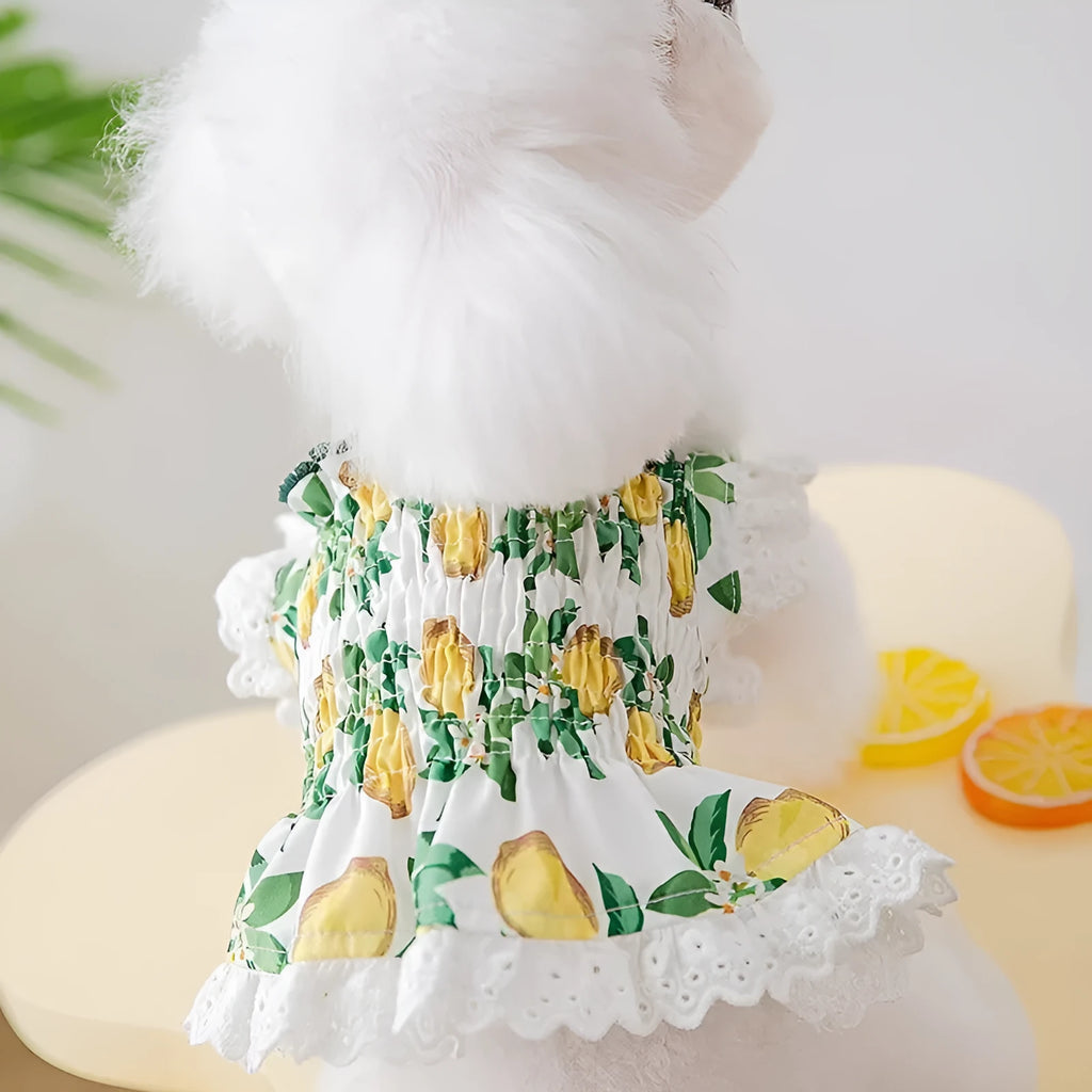Rock Yellow Lemon thin breathable polyester dog strap skirt princess style for small pets