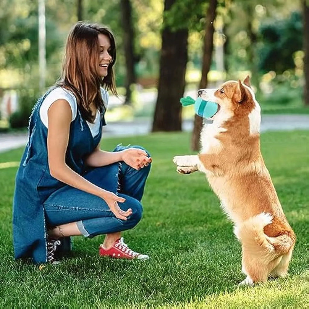 Blue interactive dog treat dispensing tumbler ball with small holes for medium large dogs