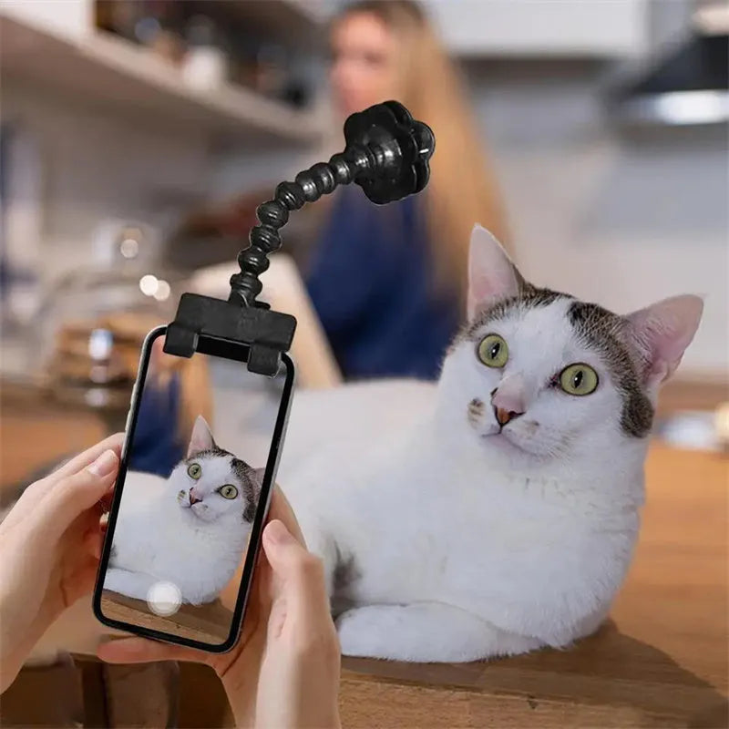 Pet photography tool with black plastic phone clip and snack holder for dog selfies