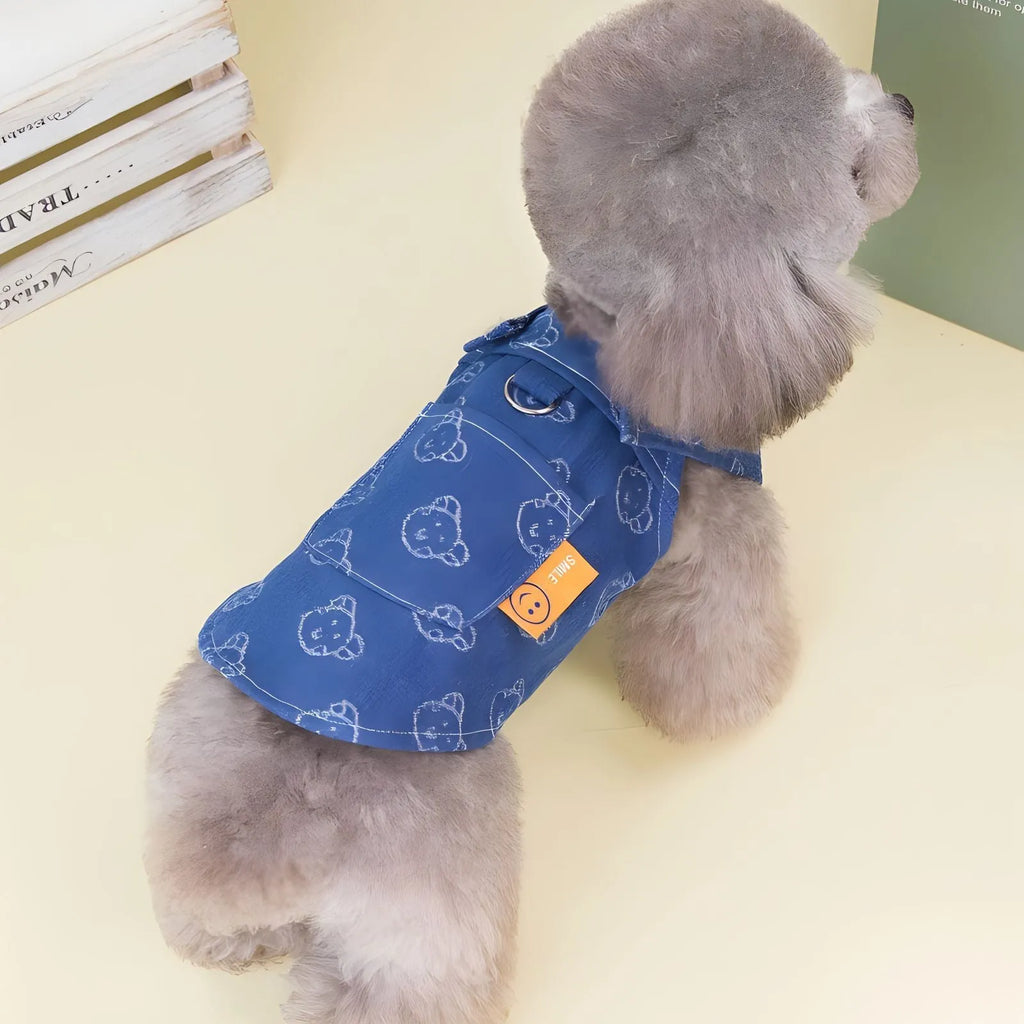 Teddy Bichon wearing thin denim princess dress with bracket-skirt design in HNXD denim colour