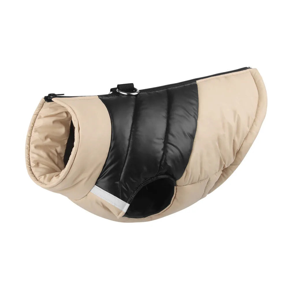 Winter dog padded vest waterproof zipper jacket in black red on a dog