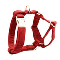 Dog collar set with leash, bow, vest, and poop bag on cloth material, five-piece option