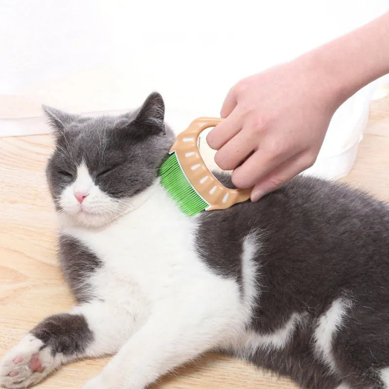 Shell-shaped plastic pet grooming brush with fine bent wire bristles in green colour