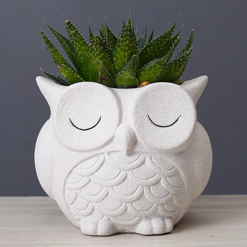 Handmade ceramic owl succulent pot in frosted finish with cartoon design