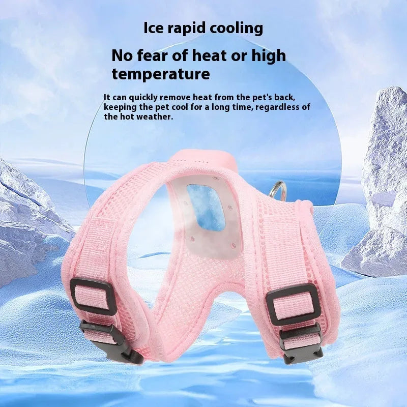 Mint green dog cooling vest harness with LED lights and leash for small breeds