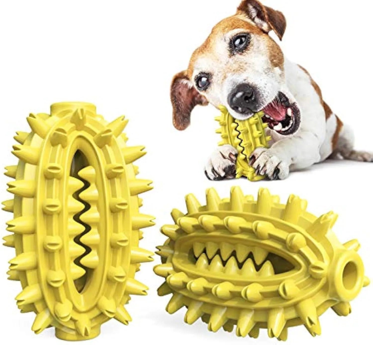 Green cactus-shaped dog chew toy for dental cleaning and aggressive chewers on a white background.