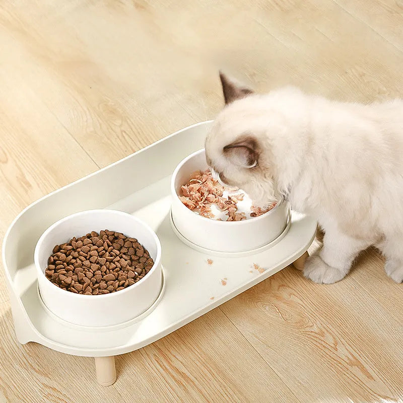 Tilted double bowl pet feeder in green with separate compartments for food and water
